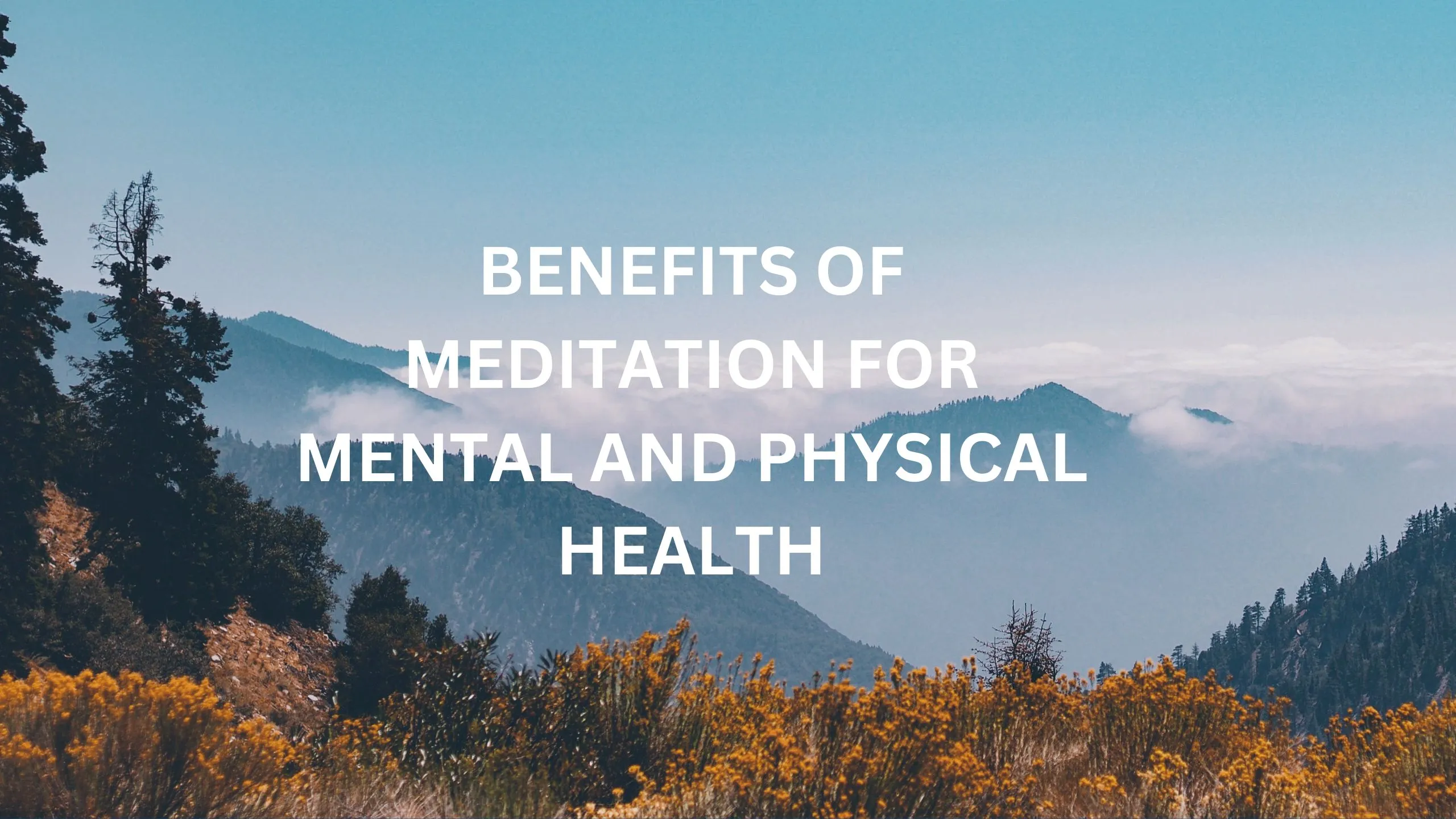 benefits of meditation for mental and physical health
