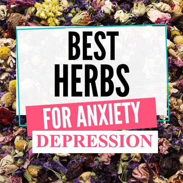 Best Herbs for Anxiety and Depression