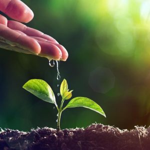 Regenerative Agriculture