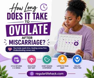 ovulation after miscarriage