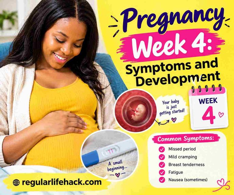 Pregnancy Week 4: Symptoms and Development