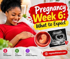 6 Weeks Pregnant