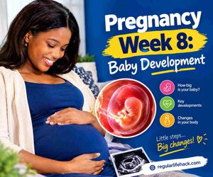 Pregnancy Week 8: Baby Development